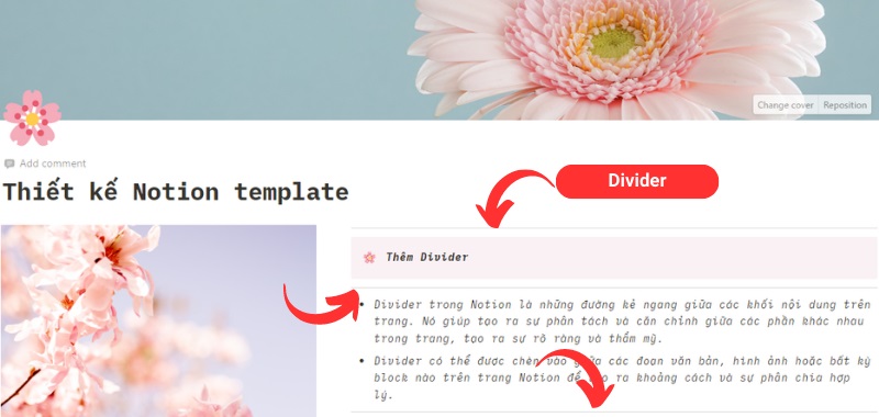 Thiết kế Notion template